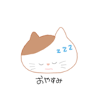 しんぷる ねこちゃん（個別スタンプ：17）