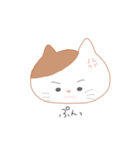 しんぷる ねこちゃん（個別スタンプ：19）