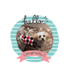 癒しのsora（個別スタンプ：1）