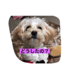癒しのsora（個別スタンプ：3）