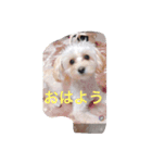 癒しのsora（個別スタンプ：4）