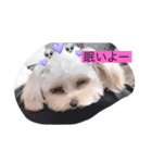 癒しのsora（個別スタンプ：5）