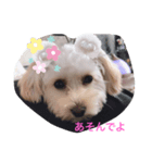 癒しのsora（個別スタンプ：6）
