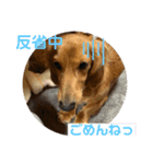 こはくです！（個別スタンプ：4）