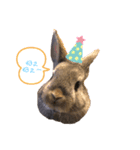 うさこのきもち（個別スタンプ：2）