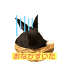 うさこのきもち（個別スタンプ：4）