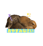 うさこのきもち（個別スタンプ：6）