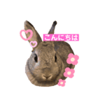 うさこのきもち（個別スタンプ：7）