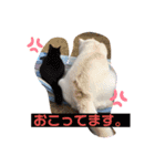 我が家のアイドル！ななちゃん♡（個別スタンプ：6）