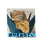 零音くんスタンプ（個別スタンプ：1）