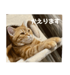 零音くんスタンプ（個別スタンプ：2）