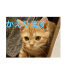 零音くんスタンプ（個別スタンプ：3）
