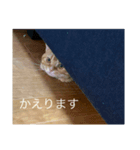 零音くんスタンプ（個別スタンプ：4）