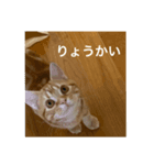 零音くんスタンプ（個別スタンプ：5）