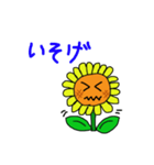 ひまわりサニーちゃん（個別スタンプ：5）
