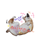 らんぴんこスタンプ（個別スタンプ：8）