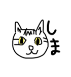うちのねこですよね（個別スタンプ：2）