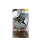 礼桜と雫（個別スタンプ：6）