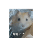 礼桜と雫（個別スタンプ：8）