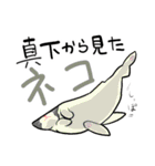 挨拶と返事から会話を続ける。Q＆A 4種（個別スタンプ：32）