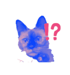 使える！俺の猫ちゃん！（個別スタンプ：2）