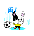 サッカー犬 黄黒のユニ版（個別スタンプ：37）