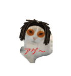 愛猫みーちゃん（個別スタンプ：4）