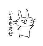 うさねこの生活3！（個別スタンプ：13）