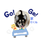 キキトンの日常（個別スタンプ：4）