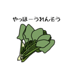 採れたて野菜（個別スタンプ：1）