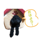 もづく（個別スタンプ：8）