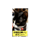 たまにゃ(=^ω^=)シリーズ（個別スタンプ：7）