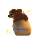 我が家のおもち（個別スタンプ：3）