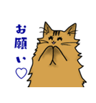 黒猫あずきの日常（個別スタンプ：38）