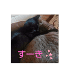 スミとシマ。（個別スタンプ：3）