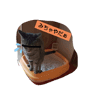 スミとシマ。（個別スタンプ：4）