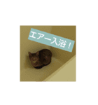 スミとシマ。（個別スタンプ：7）