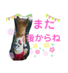 みーた♡（個別スタンプ：7）