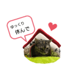 らいちゃんの日常♡（個別スタンプ：1）