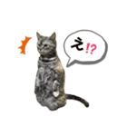 らいちゃんの日常♡（個別スタンプ：2）