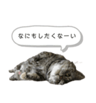 らいちゃんの日常♡（個別スタンプ：3）