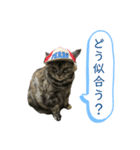らいちゃんの日常♡（個別スタンプ：4）