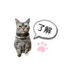 らいちゃんの日常♡（個別スタンプ：5）