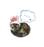 らいちゃんの日常♡（個別スタンプ：7）