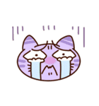 お顔で伝えるカラーねこ（個別スタンプ：12）