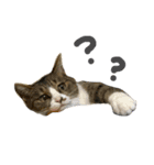 ぐみさんすたんぷ（個別スタンプ：1）