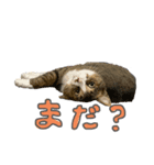 ぐみさんすたんぷ（個別スタンプ：2）