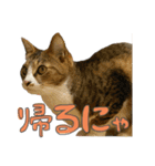 ぐみさんすたんぷ（個別スタンプ：3）