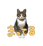ぐみさんすたんぷ（個別スタンプ：6）