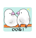 十姉妹のかわいいスタンプ（個別スタンプ：2）